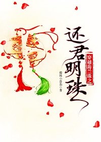 《穿越海兰珠之还君明珠》