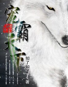 《宠霸天下》