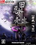 《忍者甲壳虫》