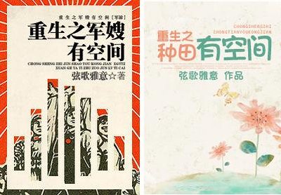 重生之军嫂有空间/重生之种田有空间