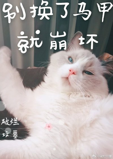 《别换了马甲就崩坏》