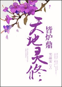《天地灵修皆炉鼎》