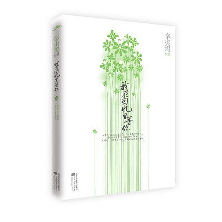 《我在回忆里等你(出书版)》