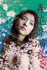 《弄花香满衣》