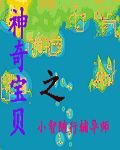 《(宠物小精灵同人)小智随行辅导师》