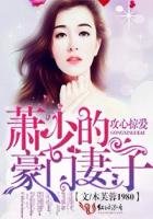 《攻心掠爱,萧少的豪门妻子》