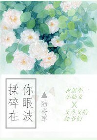 揉碎在你眼波