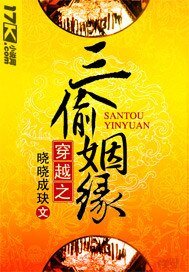 《穿越之三偷姻缘》