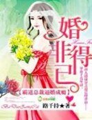 《婚非得已,霸道总裁逼婚成瘾》