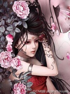 《肋上蝶》