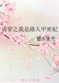 《清穿之我是路人甲密妃》