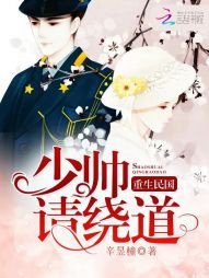 重生民国:少帅,请绕道