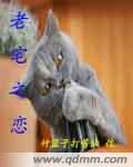 《老宅之恋》