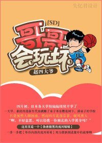 《【BG-SD同人】哥哥,会玩坏》