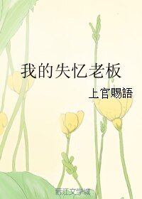 《我的失忆老板》