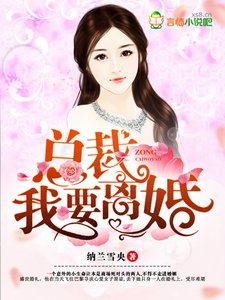 总裁,我要离婚