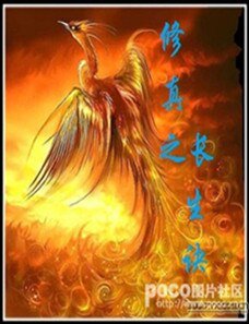 《修真之长生诀》