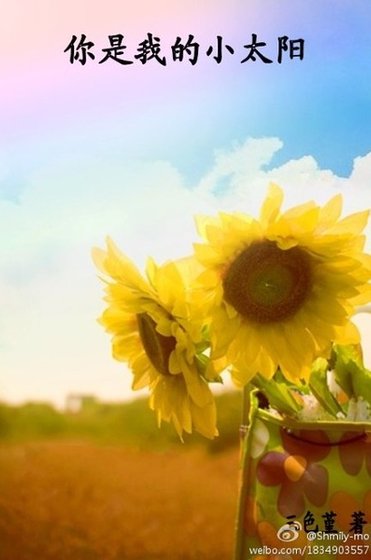 你是我的小太阳