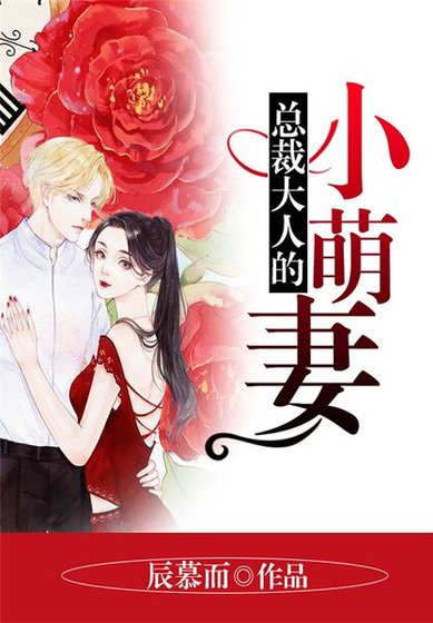 总裁大人的小萌妻