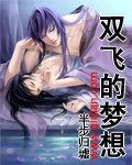 双飞的梦想