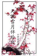 天教雪月伴玲珑