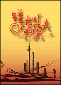 《镁光灯下的孕夫》