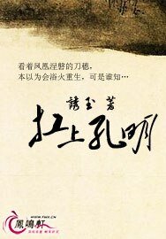 《啥?鄙视诸葛亮?/扛上孔明》