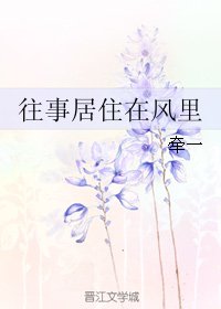 《往事居住在风里》