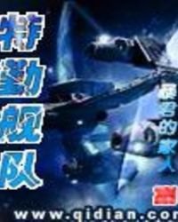 特勤舰队