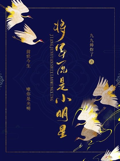 《将军原是小明星》