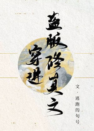 穿进盗版修真文
