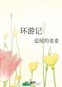 《环游记》
