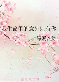 《我生命里的意外只有你》