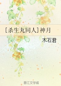《(BG/杀生丸同人)神月》