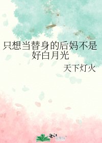 只想当替身的后妈不是好白月光