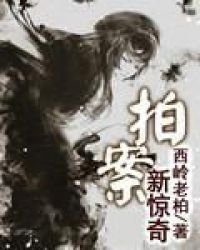 《拍案新惊奇》