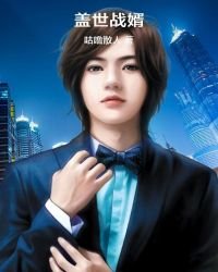 《盖世战婿》
