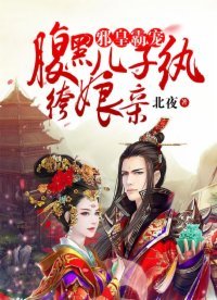 邪皇霸宠:腹黑儿子纨绔娘亲