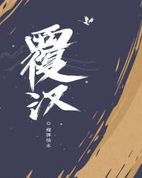 《覆汉》
