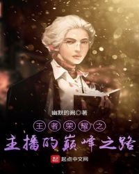 《王者荣耀之主播的巅峰之路》