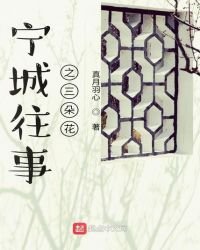 《宁城往事之三朵花》