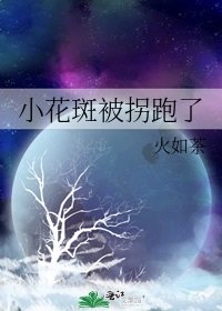 《小花斑被拐跑了》