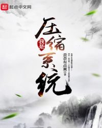 《我是压缩系统》