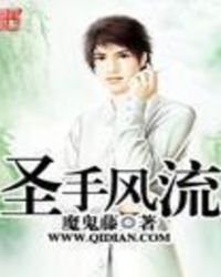 《圣手风流》
