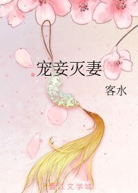 《宠妾灭妻》