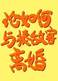 （综漫同人）论如何与揍敌客离婚
