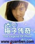 《梅子传奇》