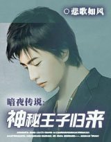 《神秘王子归来》