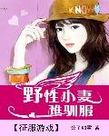 《征服游戏:野性小妻难驯服》
