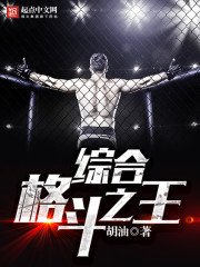 《综合格斗之王》